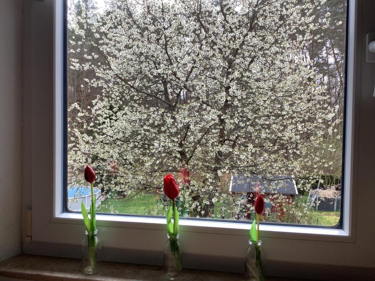 Ferienwohnung Schwarzachhoehe Nur Fuer Erwachsene Венделщайн Екстериор снимка